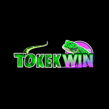 TOKEKWIN - Aplikasi Karaoke Terbaik untuk Penggemar Musik